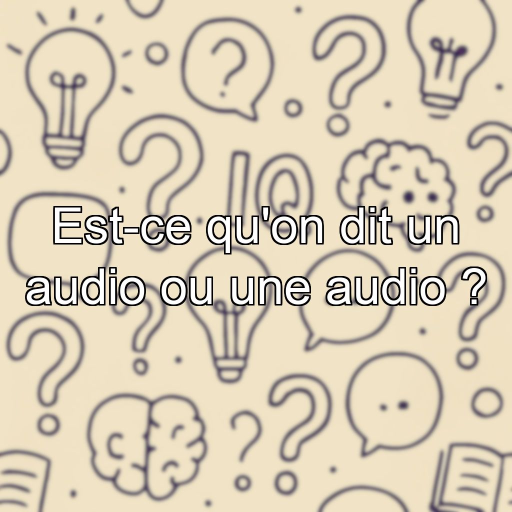 Est-ce qu'on dit un audio ou une audio ?