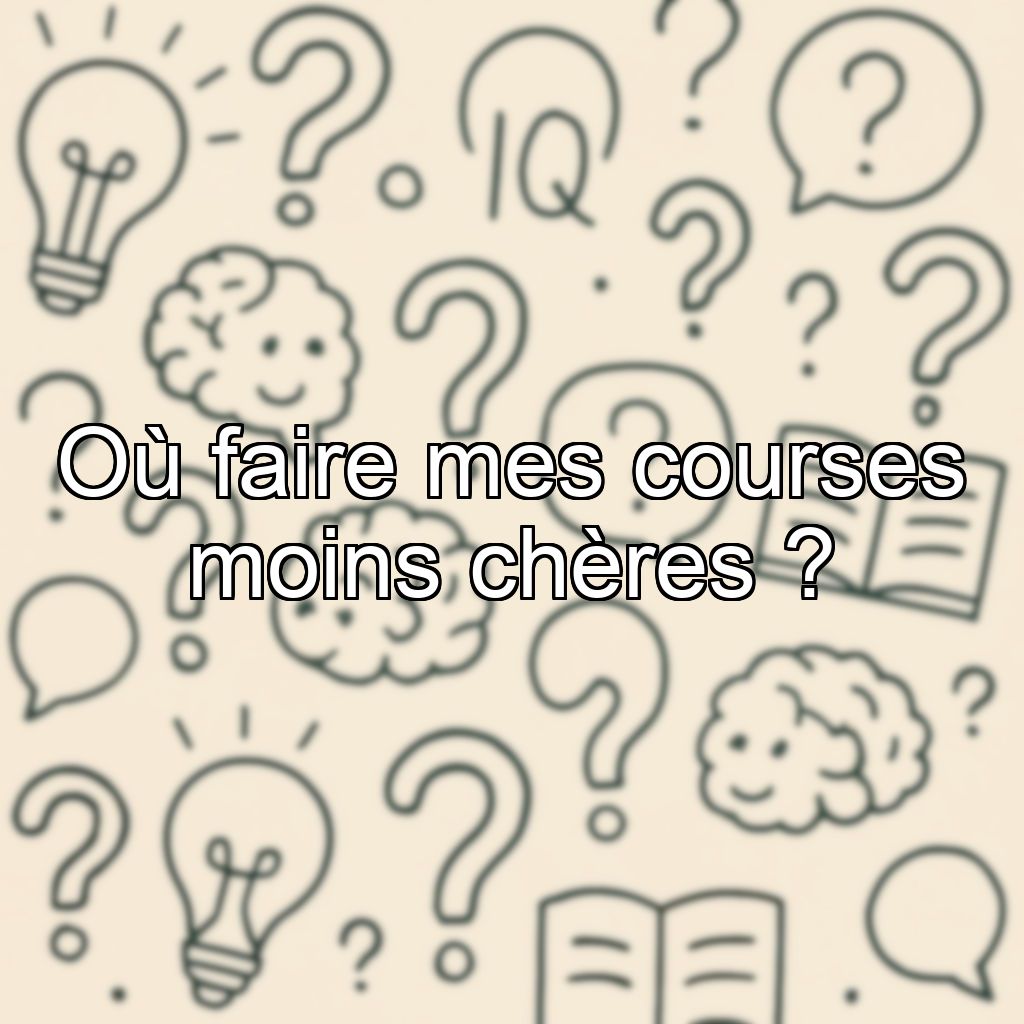 Où faire mes courses moins chères ?