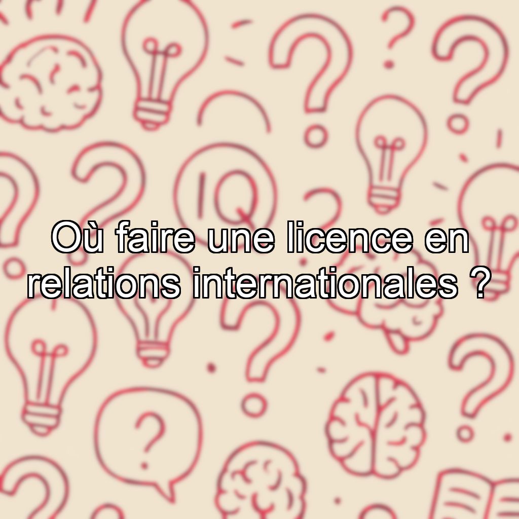 Où faire une licence en relations internationales ?