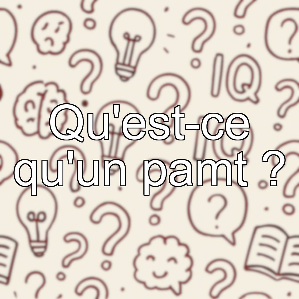 Qu'est-ce qu'un pamt ?