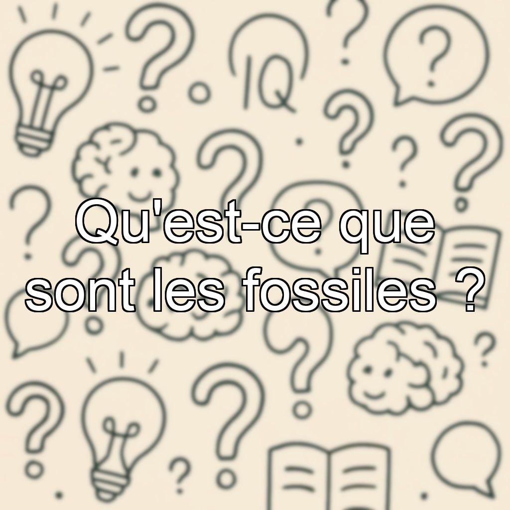 Qu'est-ce que sont les fossiles ?
