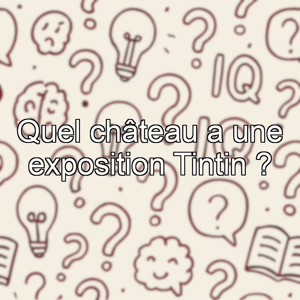 Quel château a une exposition Tintin ?
