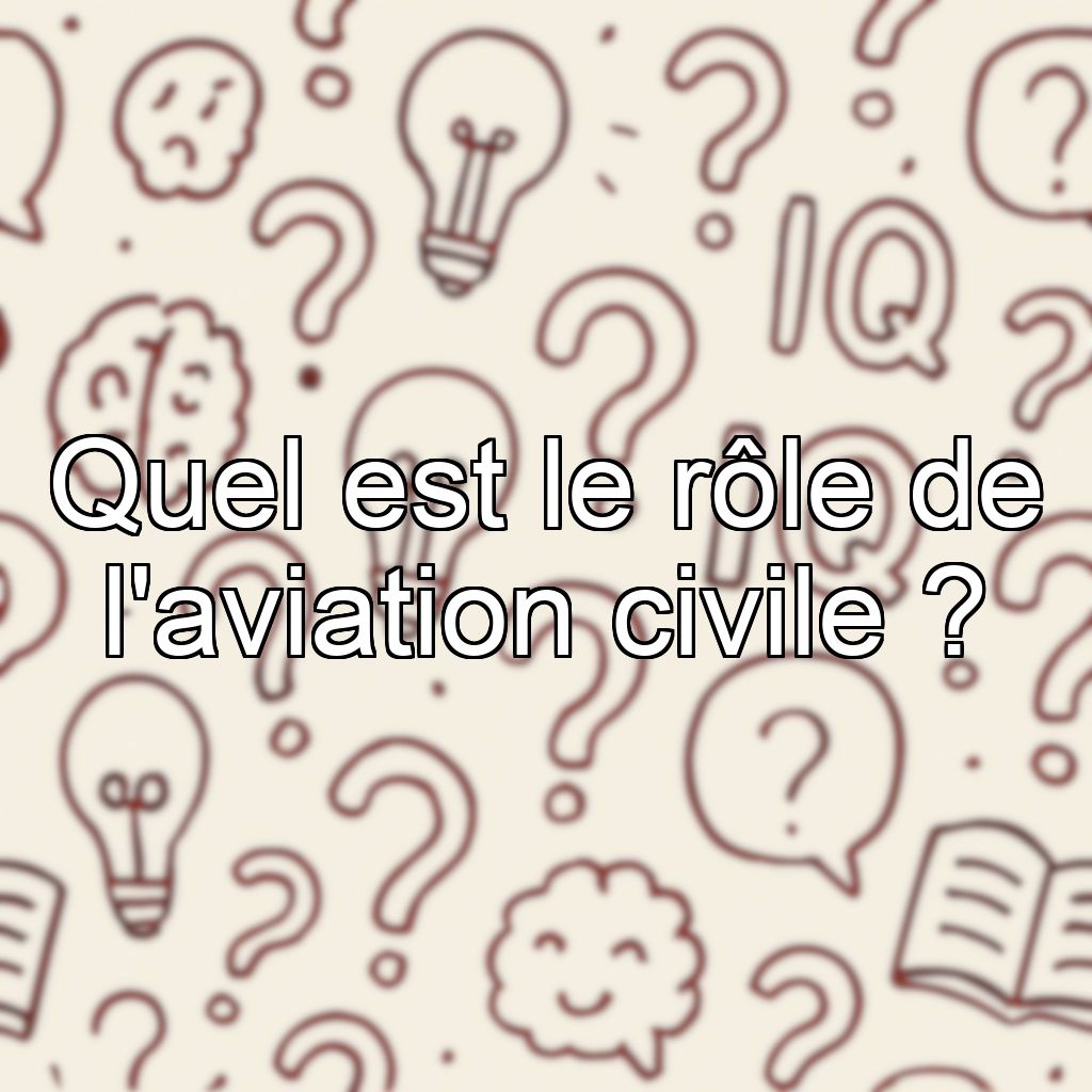 Quel est le rôle de l'aviation civile ?