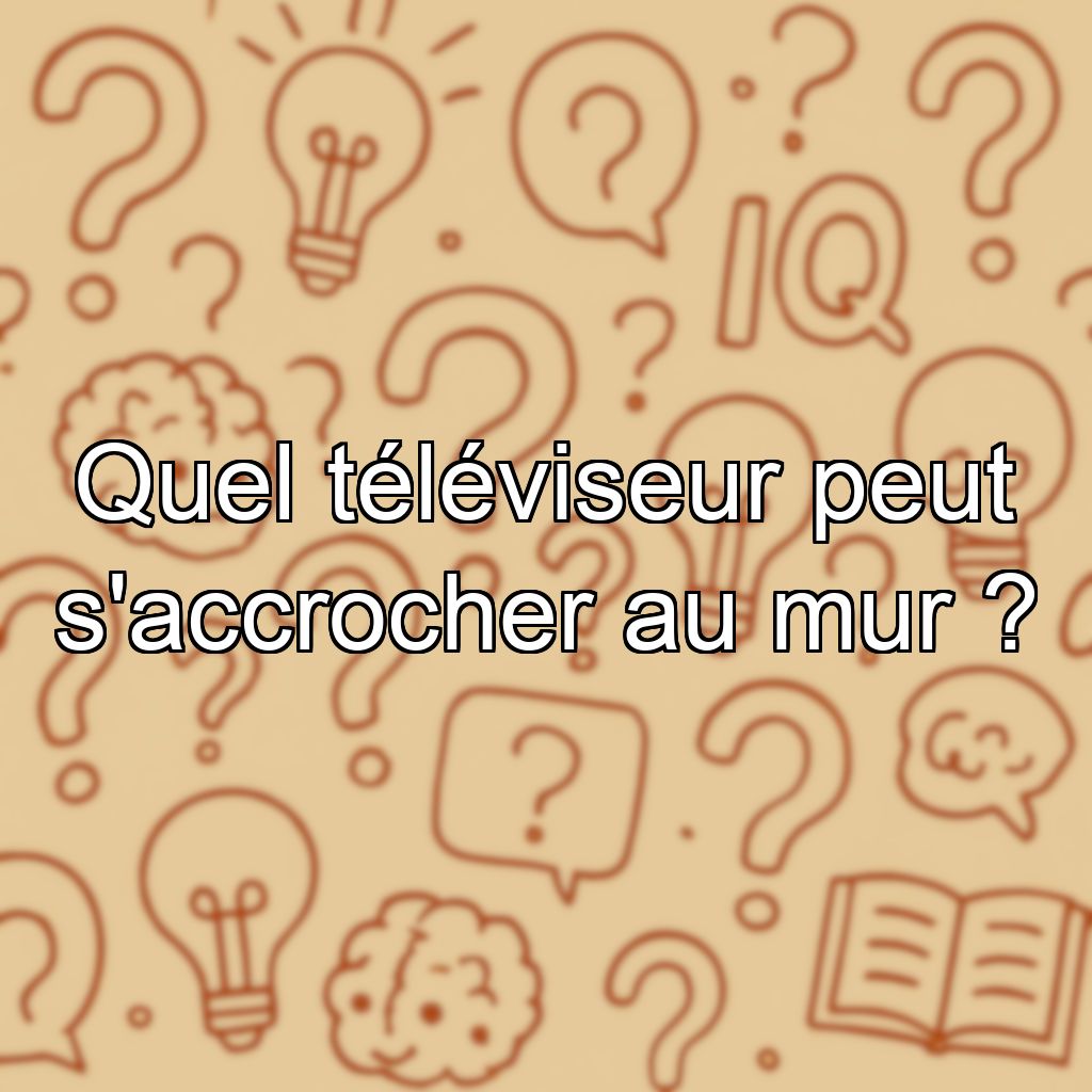 Quel téléviseur peut s'accrocher au mur ?