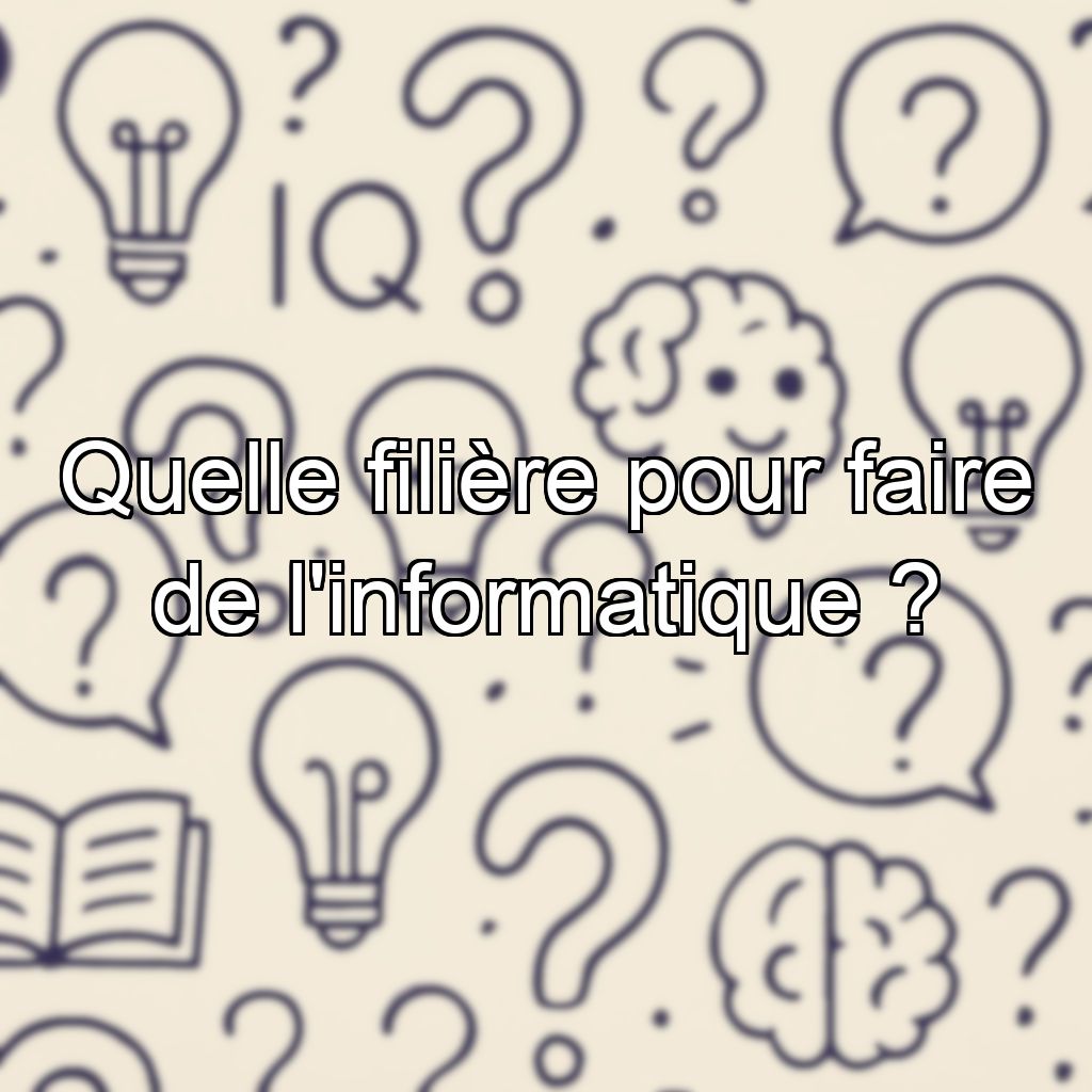 Quelle filière pour faire de l'informatique ?
