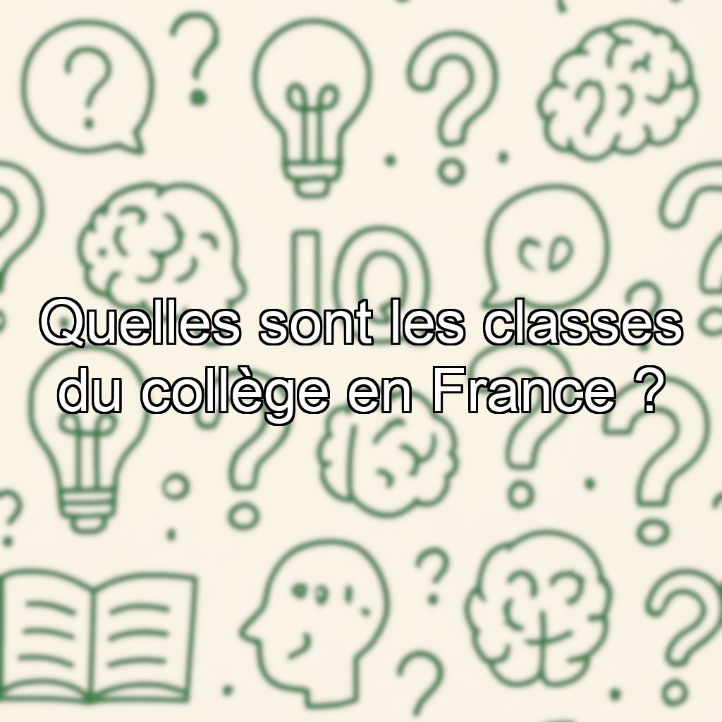 Quelles sont les classes du collège en France ?