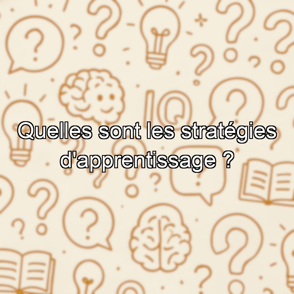 Quelles sont les stratégies d'apprentissage ?