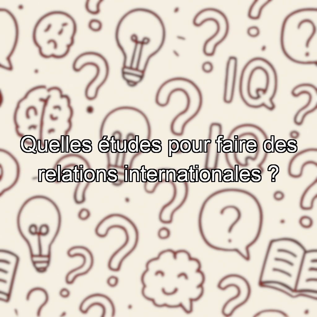 Quelles études pour faire des relations internationales ?