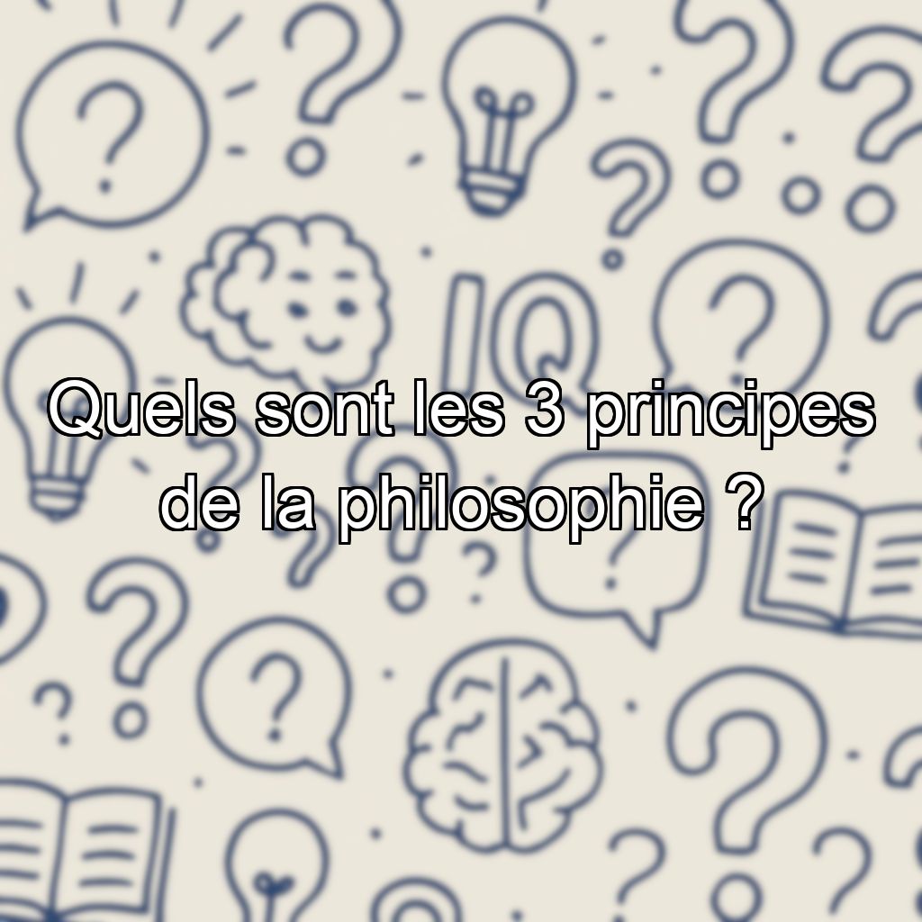 Quels sont les 3 principes de la philosophie ?