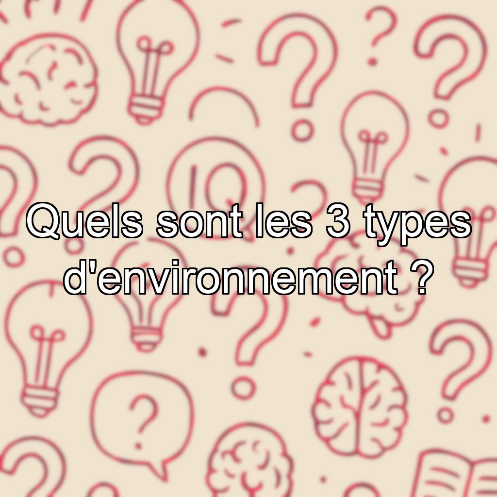 Quels sont les 3 types d'environnement ?
