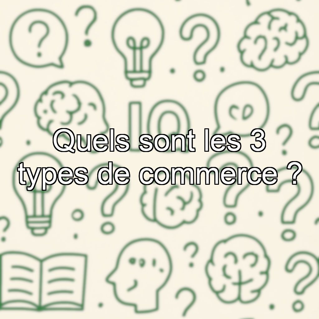 Quels sont les 3 types de commerce ?
