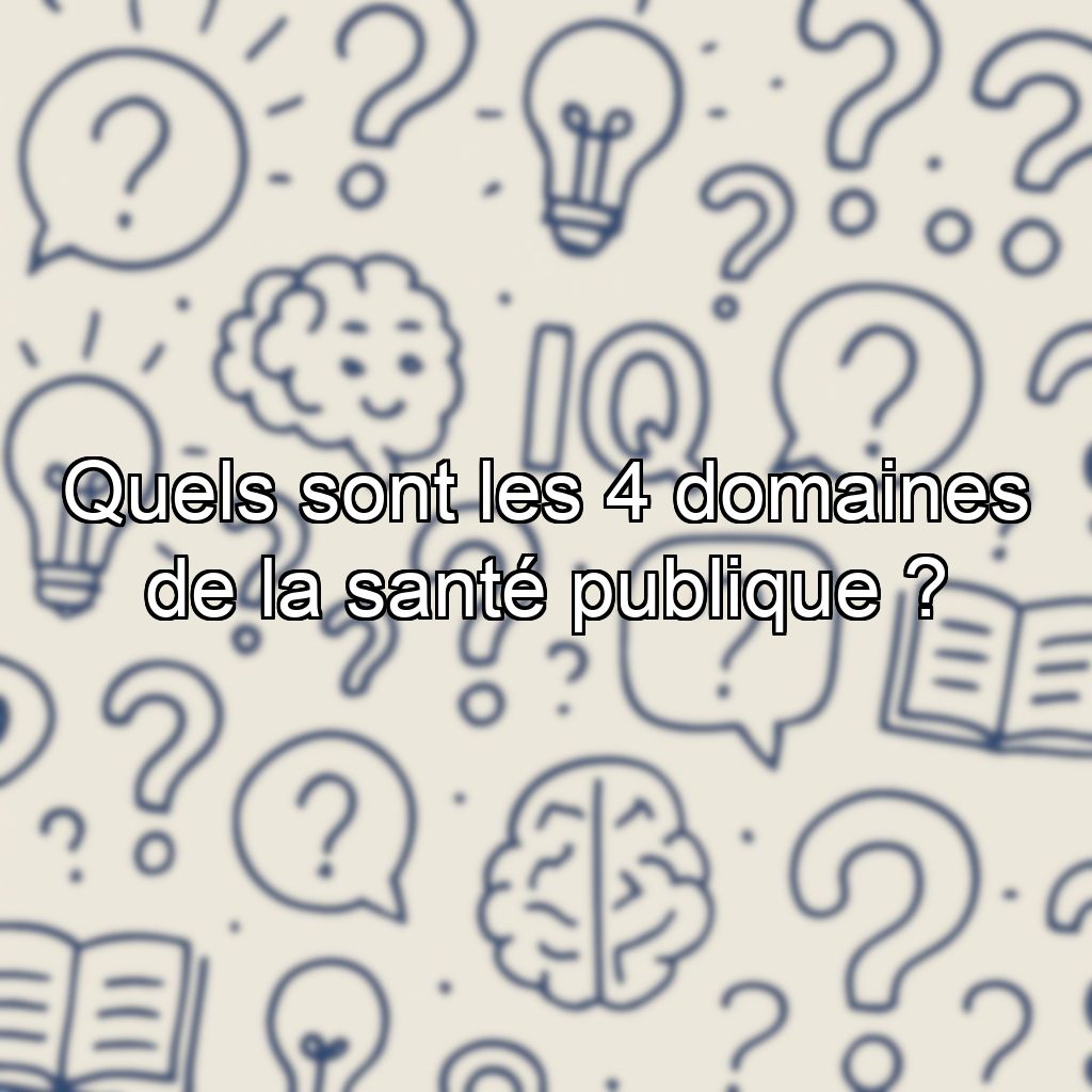 Quels sont les 4 domaines de la santé publique ?