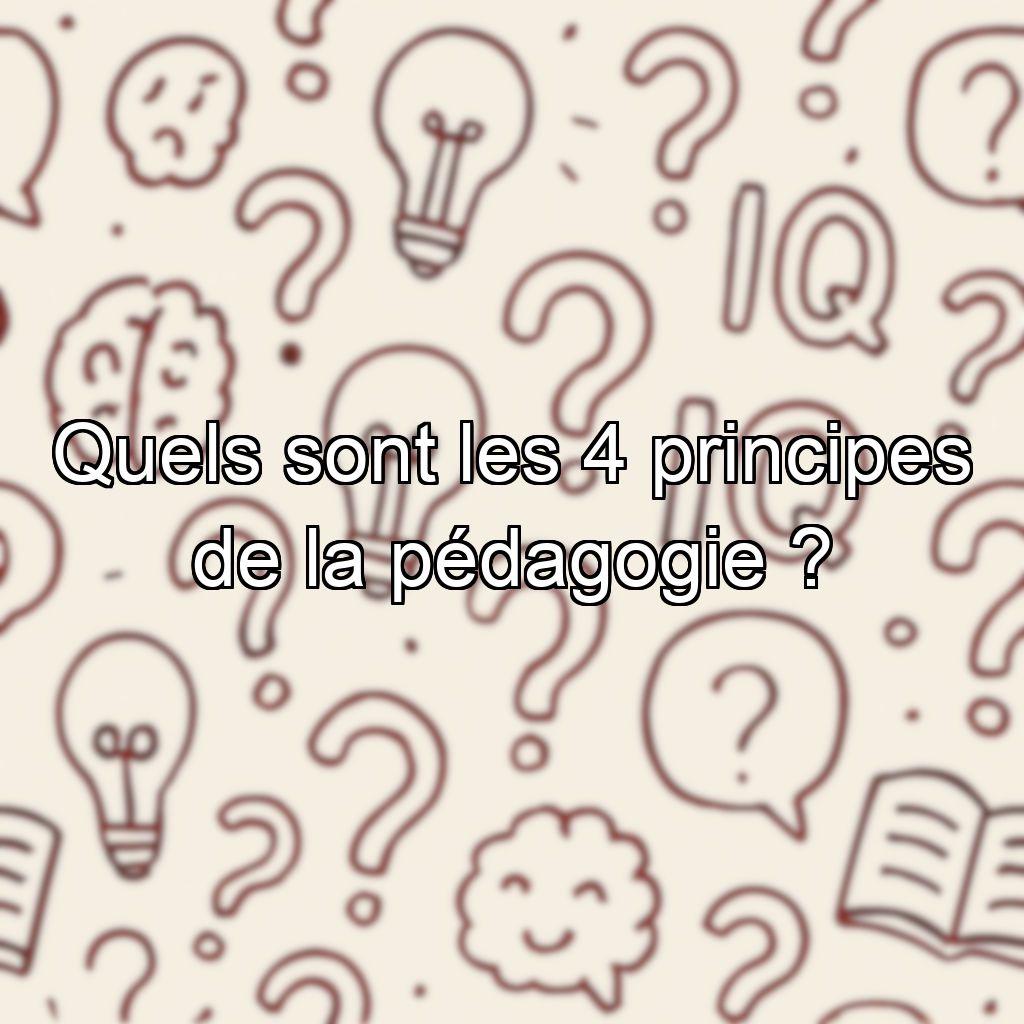 Quels sont les 4 principes de la pédagogie ?
