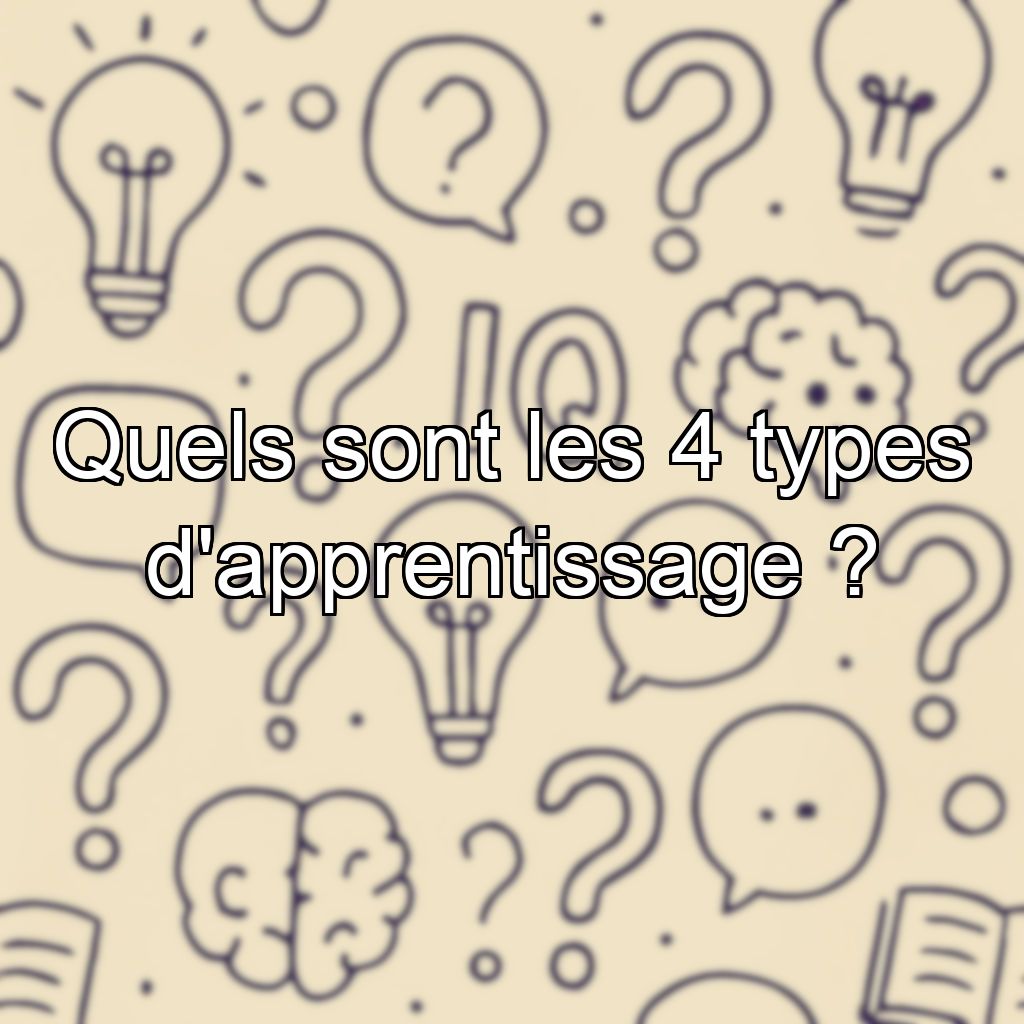 Quels sont les 4 types d'apprentissage ?