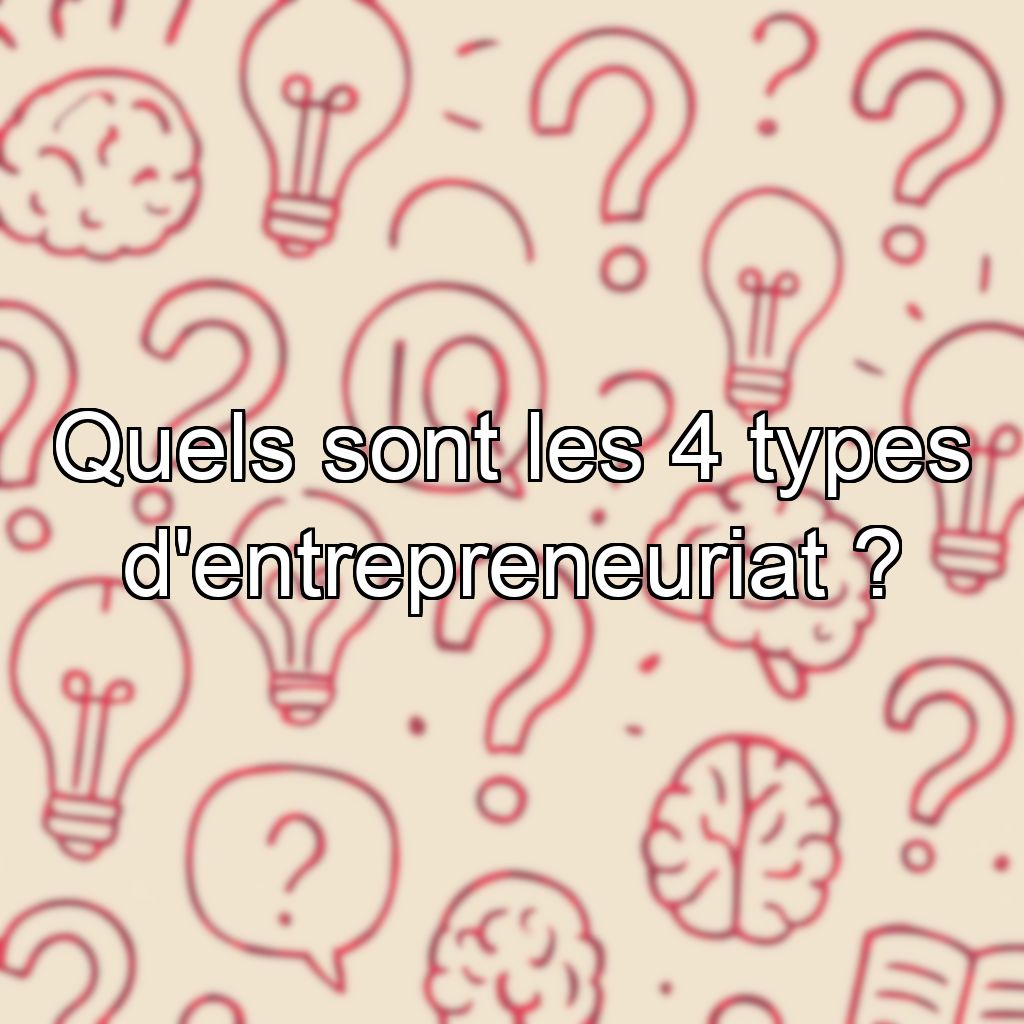 Quels sont les 4 types d'entrepreneuriat ?
