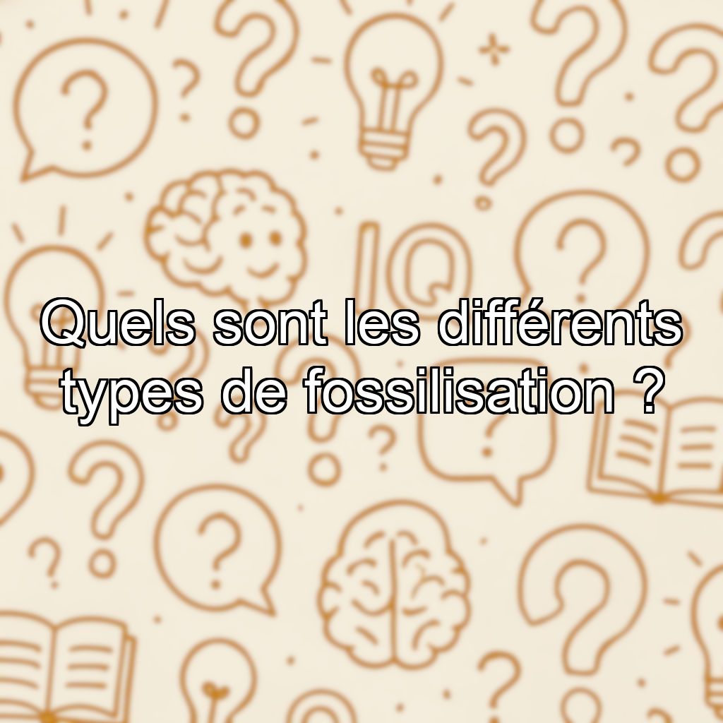 Quels sont les différents types de fossilisation ?