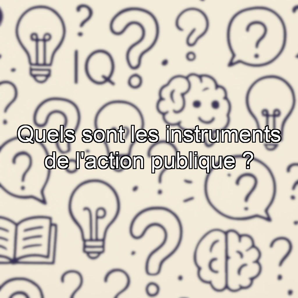 Quels sont les instruments de l'action publique ?