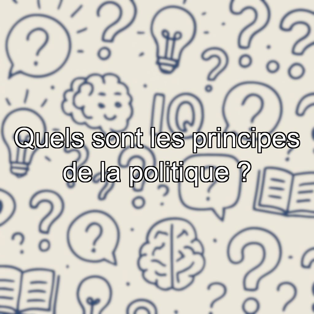 Quels sont les principes de la politique ?