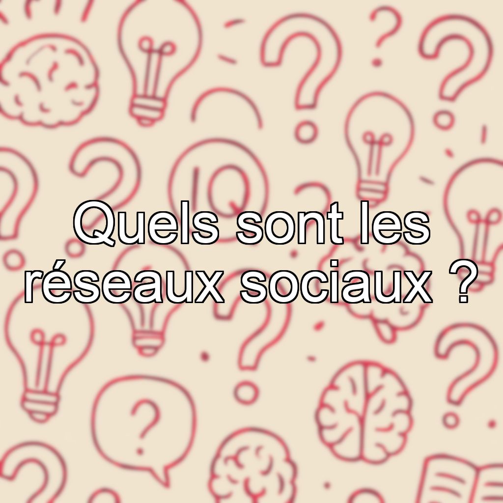 Quels sont les réseaux sociaux ?