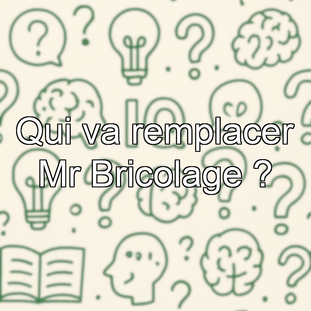Qui va remplacer Mr Bricolage ?