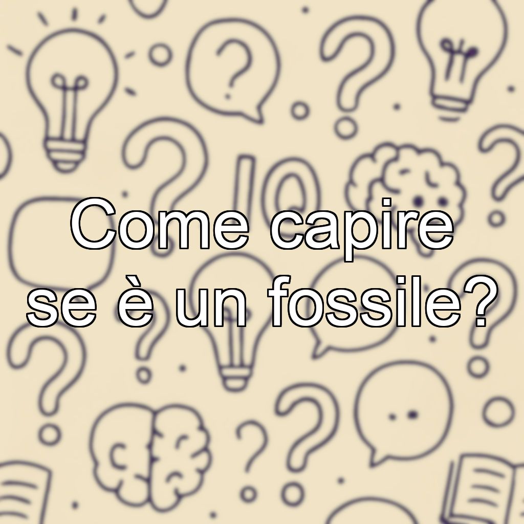 Come capire se è un fossile?