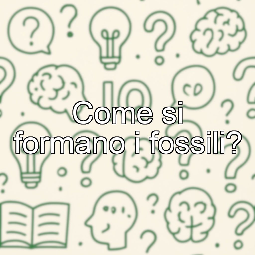 Come si formano i fossili?