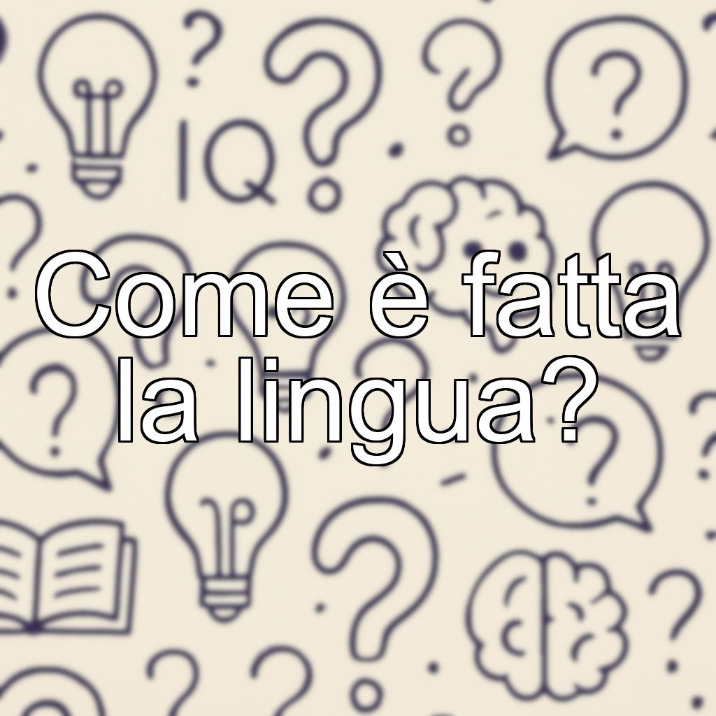 Come è fatta la lingua?
