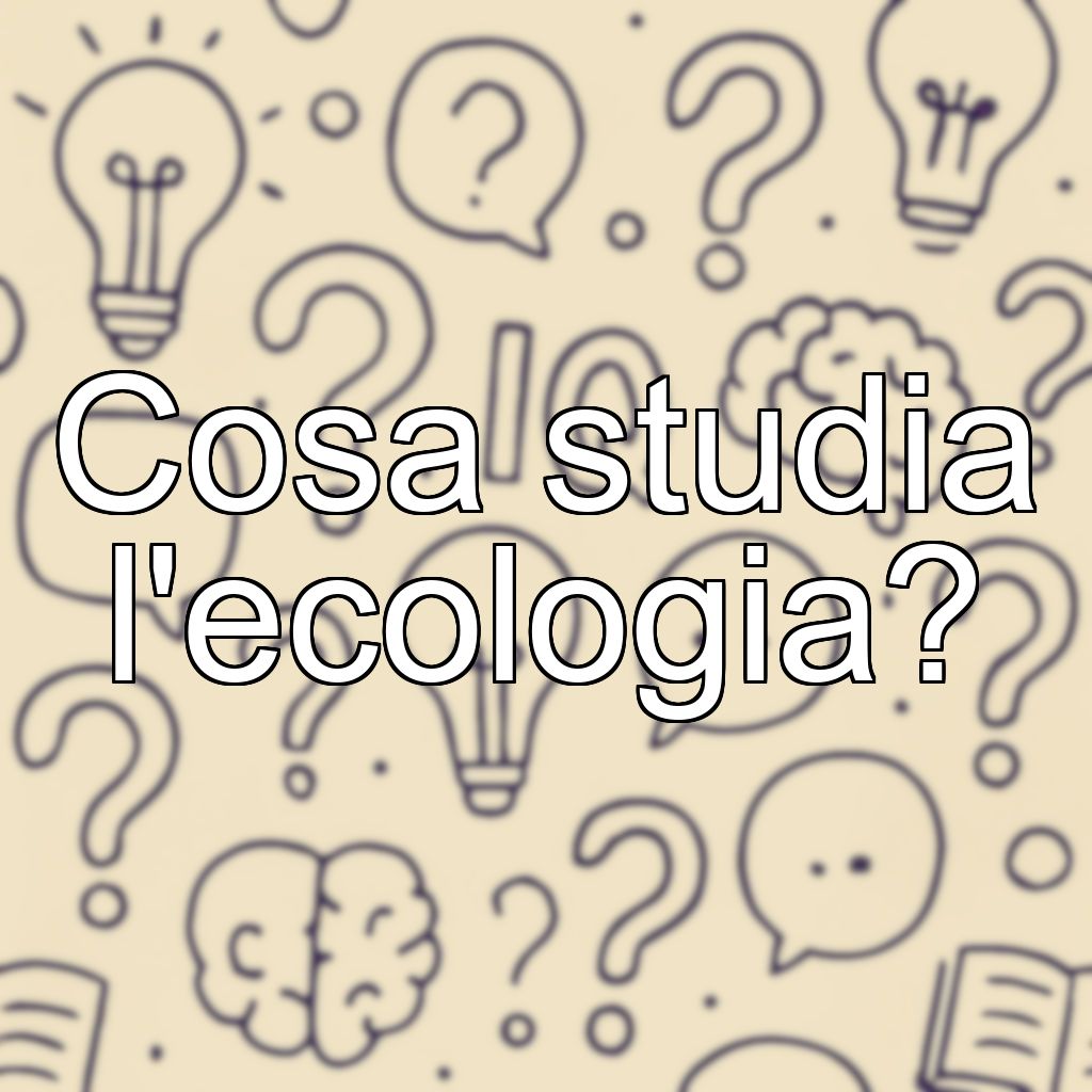 Cosa studia l'ecologia?