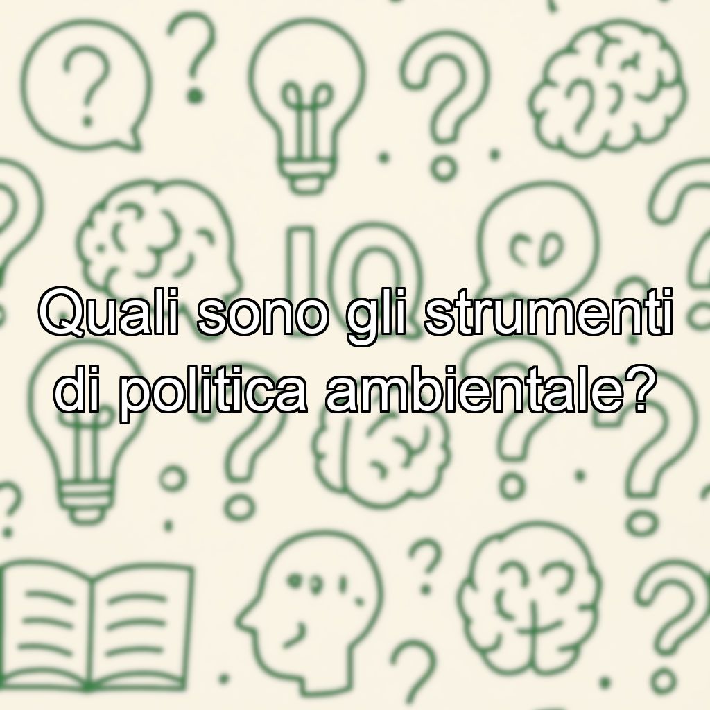 Quali sono gli strumenti di politica ambientale?