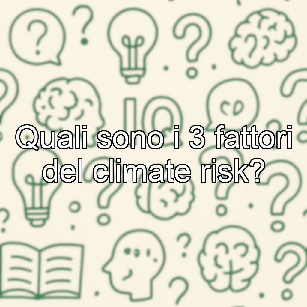 Quali sono i 3 fattori del climate risk?
