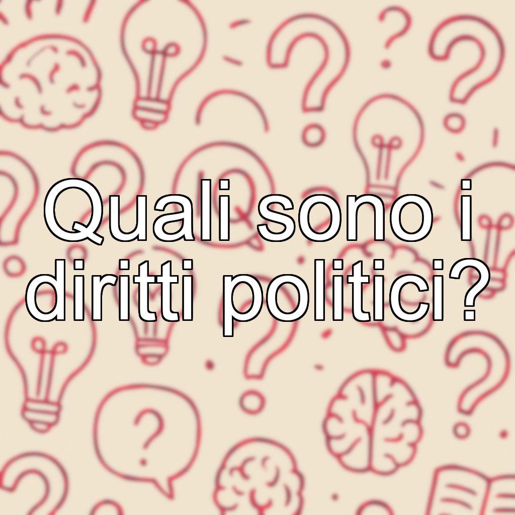 Quali sono i diritti politici?
