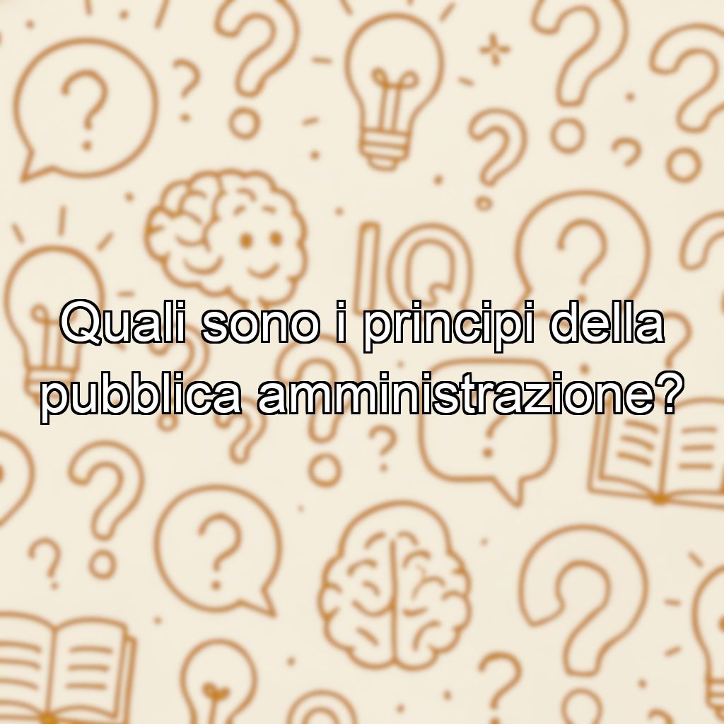 Quali sono i principi della pubblica amministrazione?