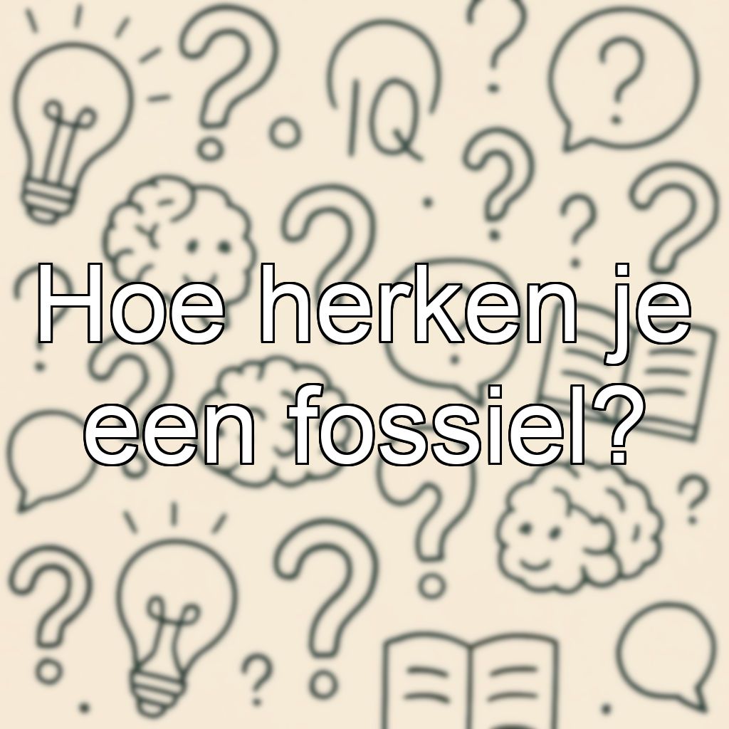 Hoe herken je een fossiel?
