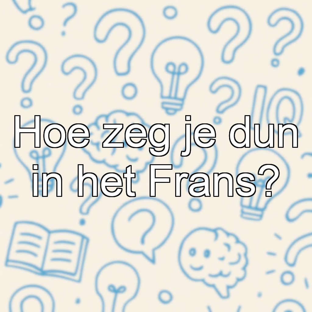 Hoe zeg je dun in het Frans?