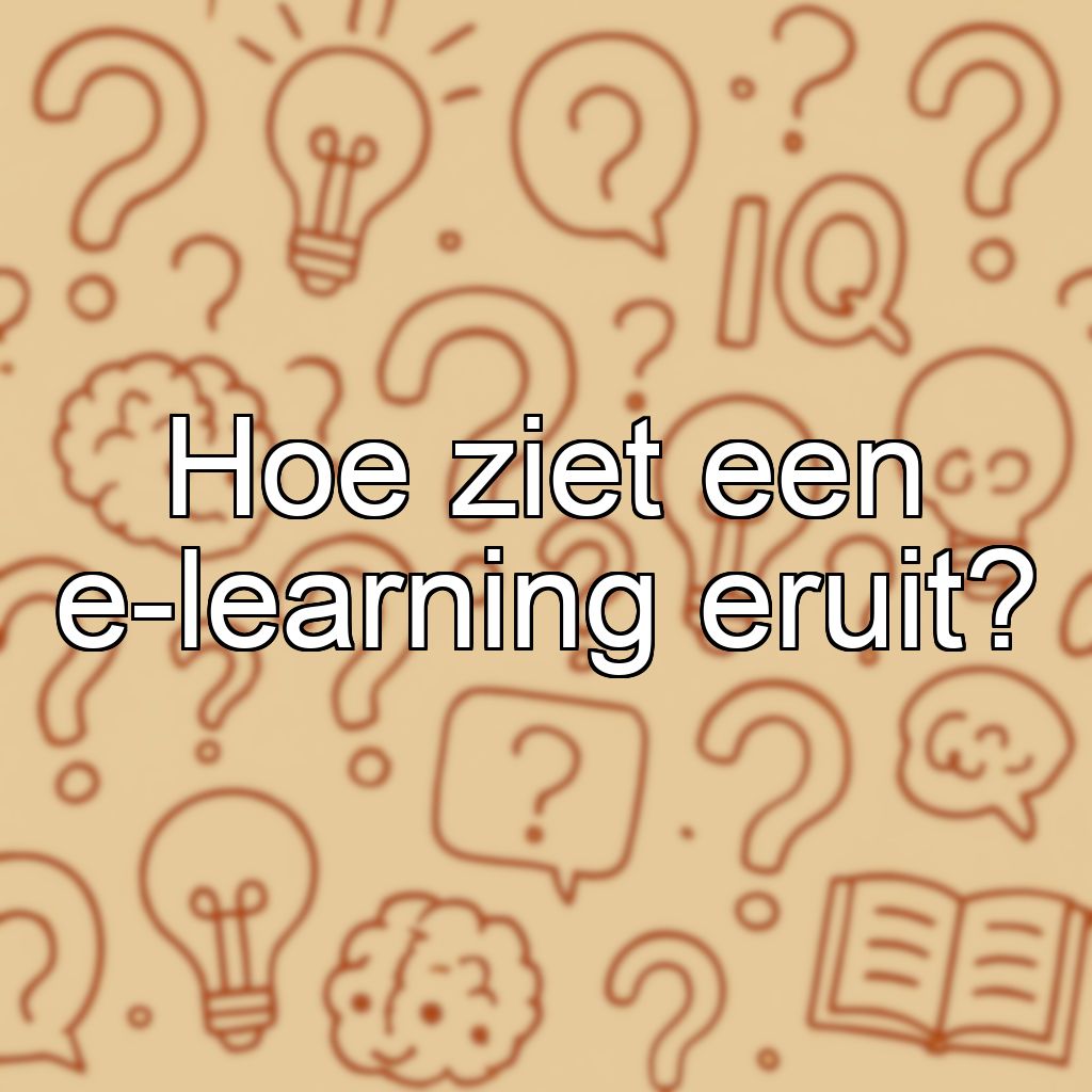 Hoe ziet een e-learning eruit?