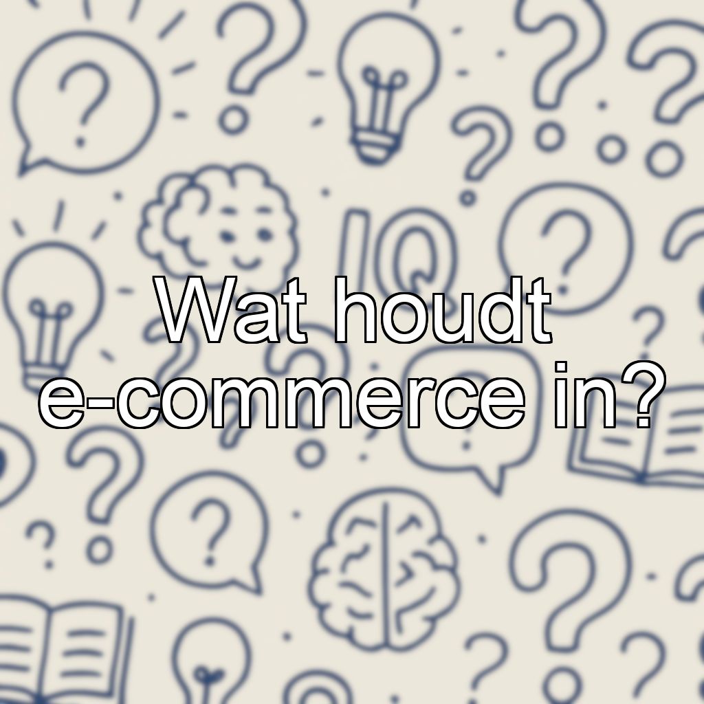 Wat houdt e-commerce in?