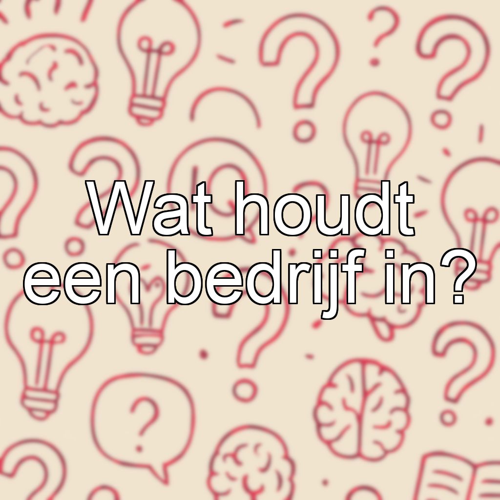 Wat houdt een bedrijf in?