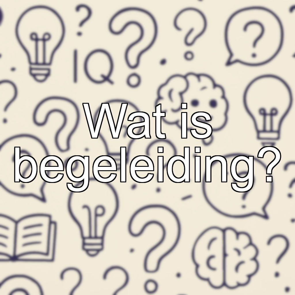Wat is begeleiding?