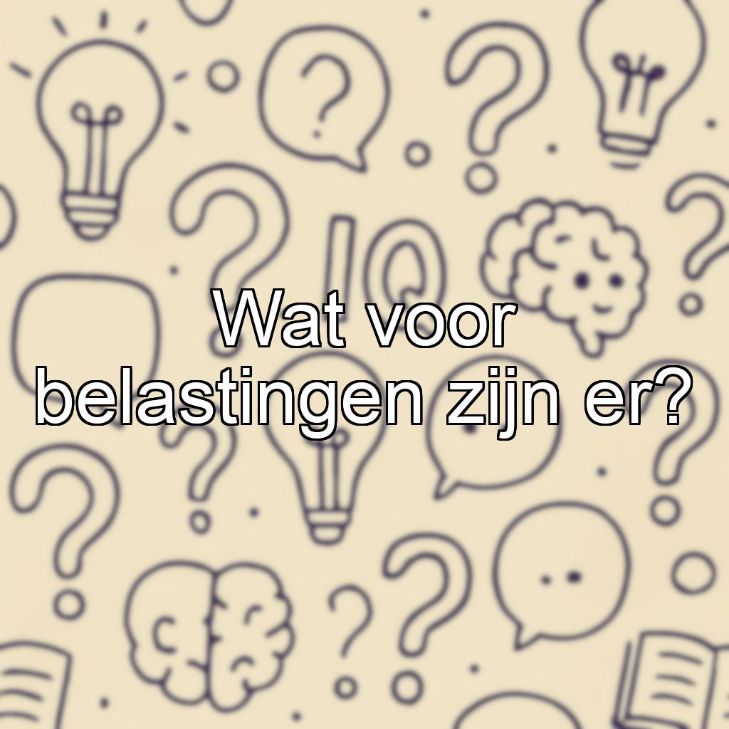 Wat voor belastingen zijn er?