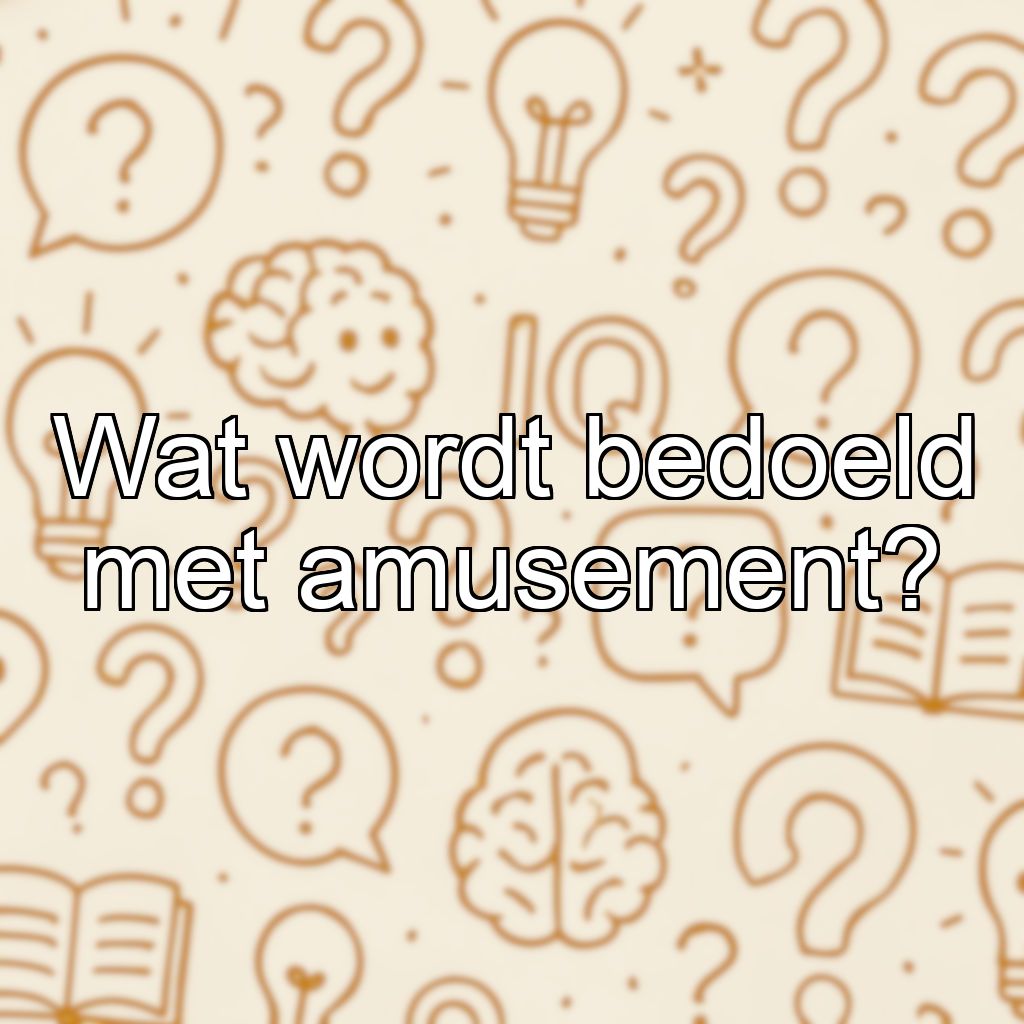 Wat wordt bedoeld met amusement?