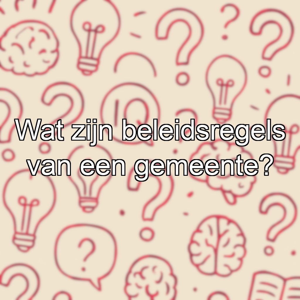 Wat zijn beleidsregels van een gemeente?