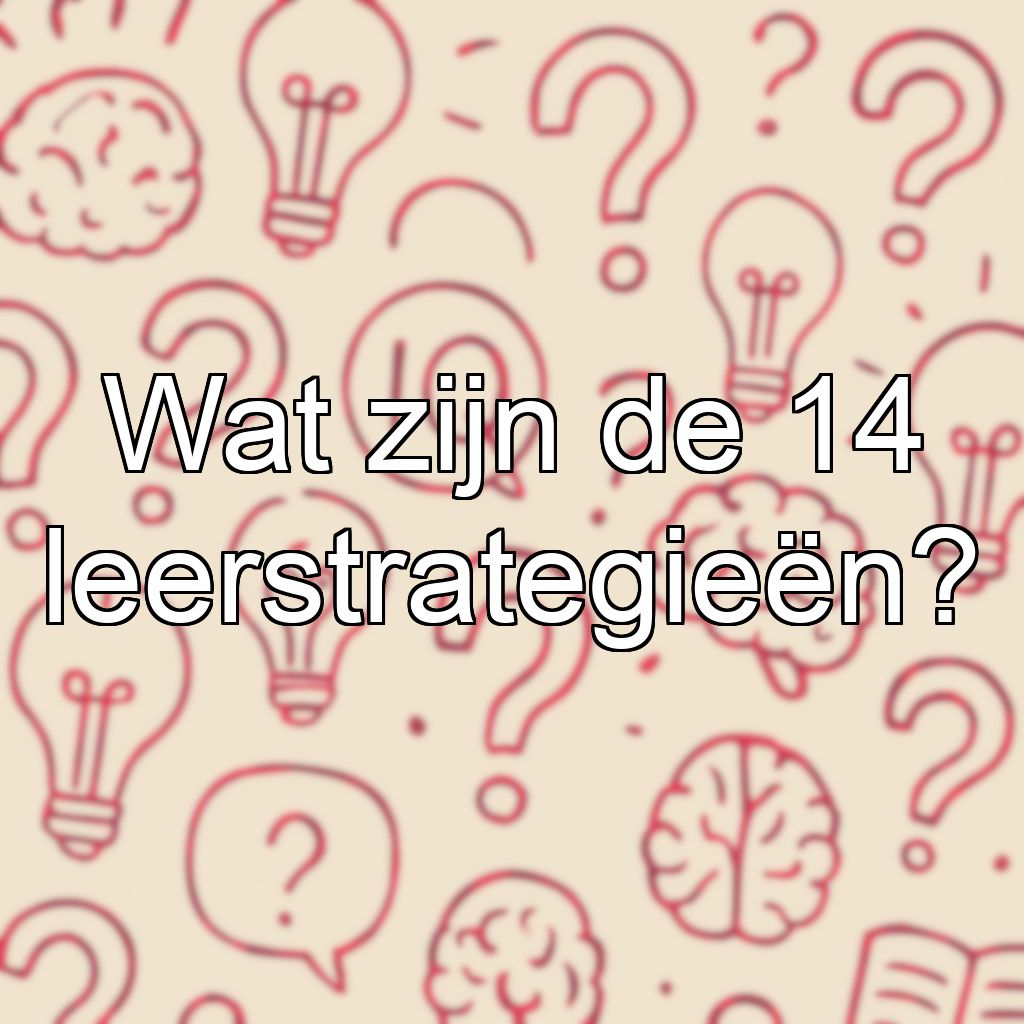 Wat zijn de 14 leerstrategieën?