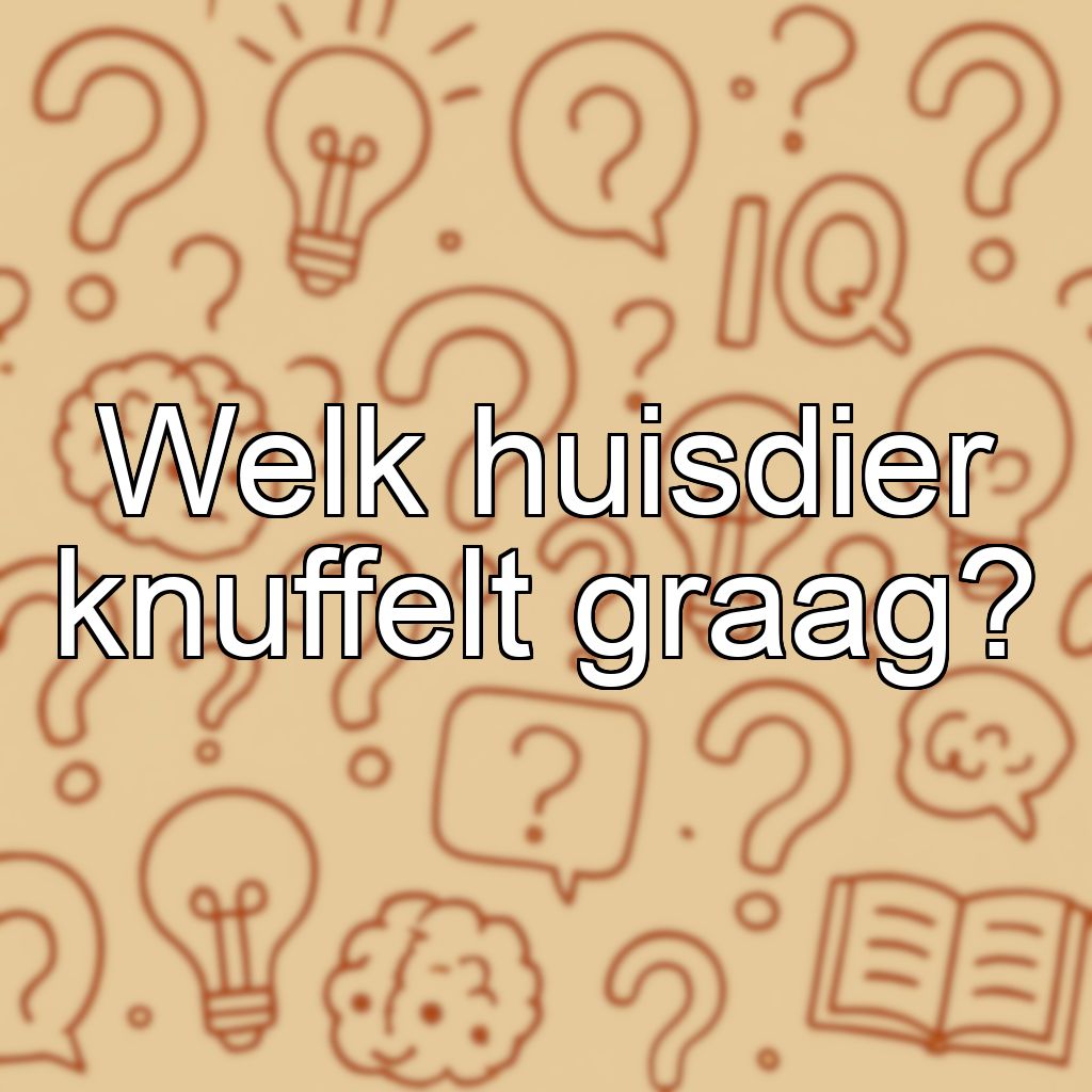 Welk huisdier knuffelt graag?