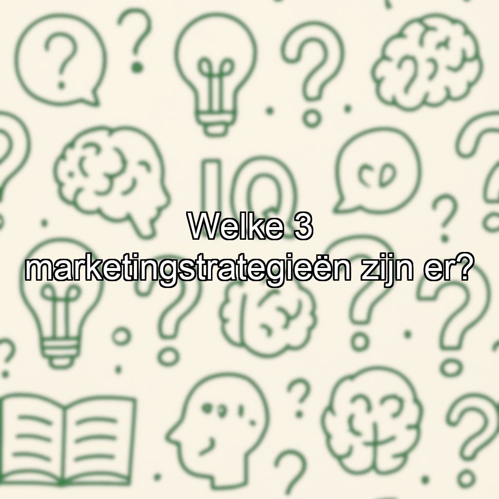 Welke 3 marketingstrategieën zijn er?