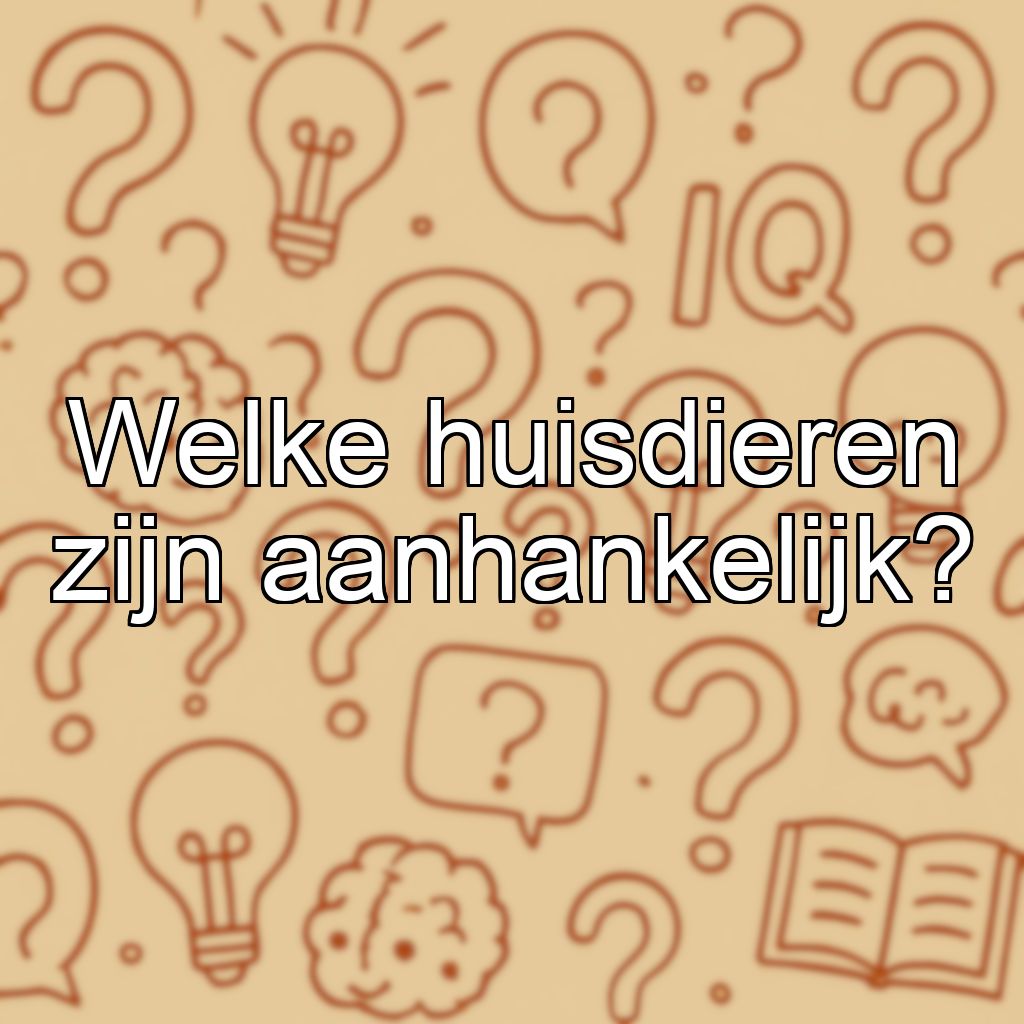 Welke huisdieren zijn aanhankelijk?
