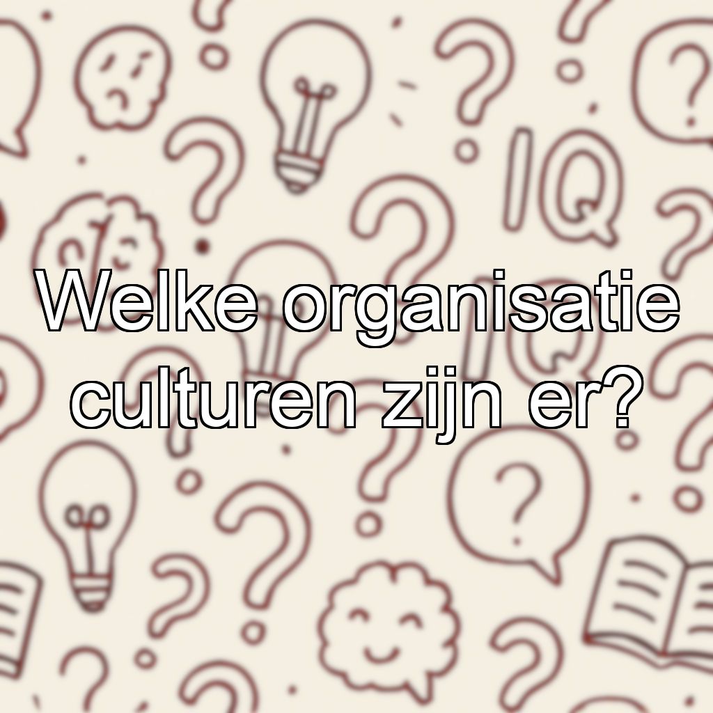 Welke organisatie culturen zijn er?