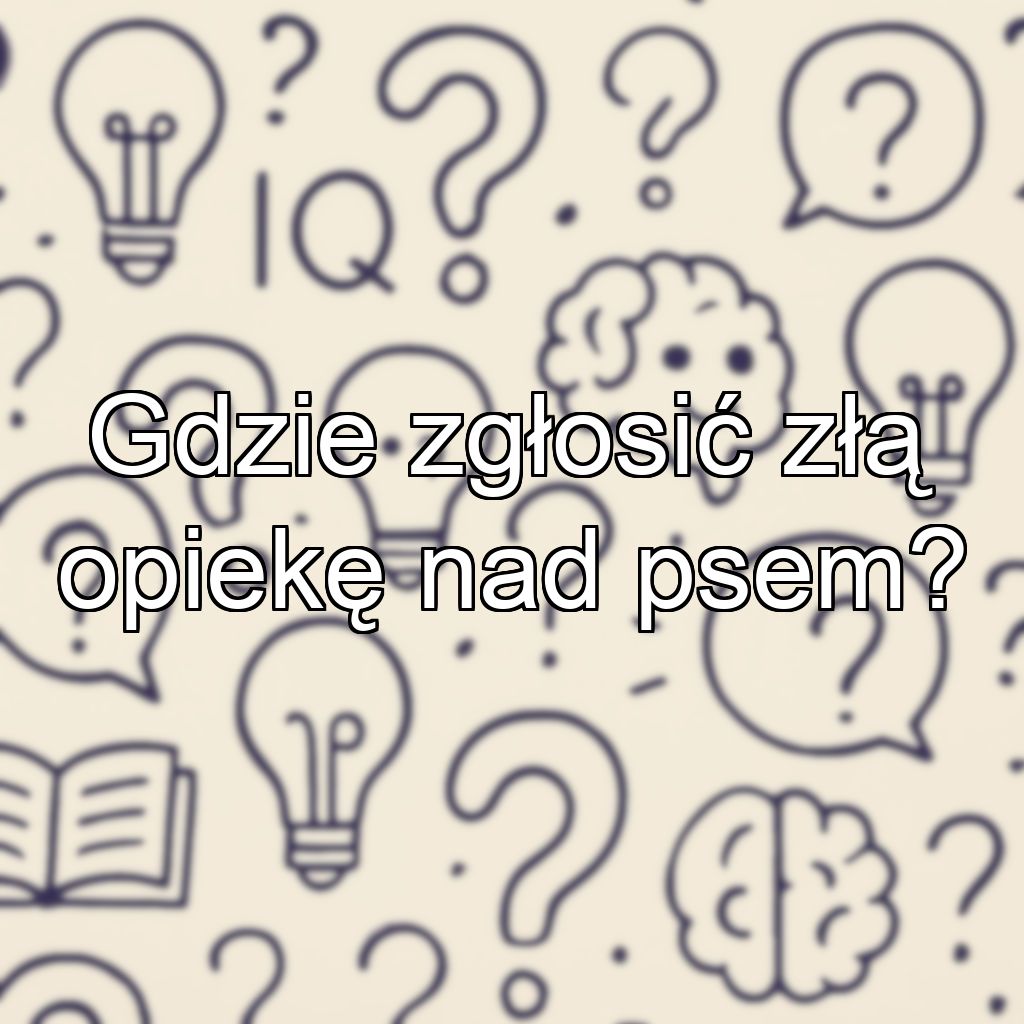 Gdzie zgłosić złą opiekę nad psem?