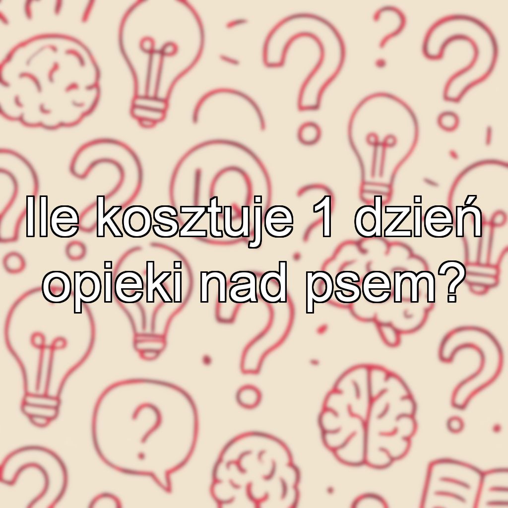 Ile kosztuje 1 dzień opieki nad psem?
