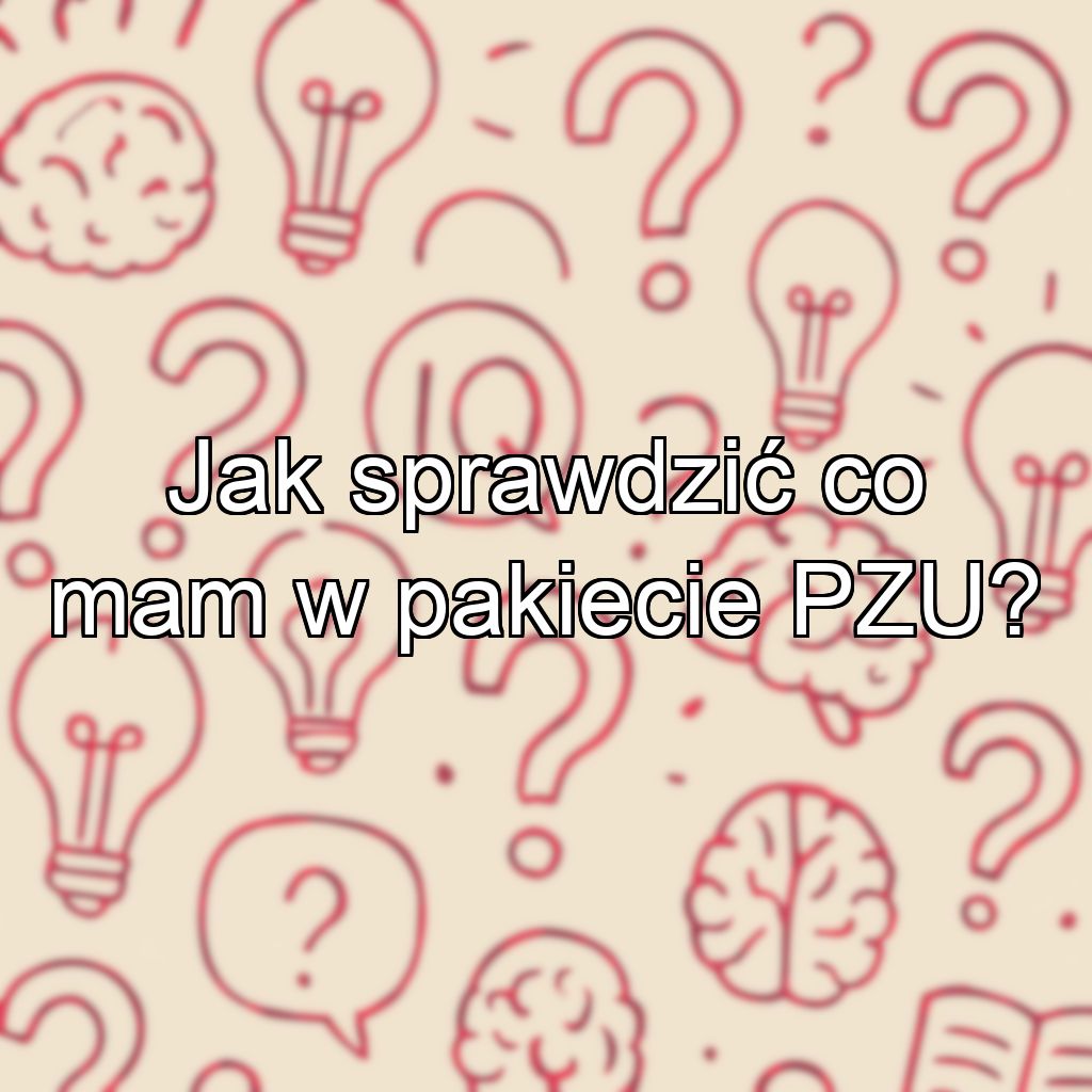 Jak sprawdzić co mam w pakiecie PZU?