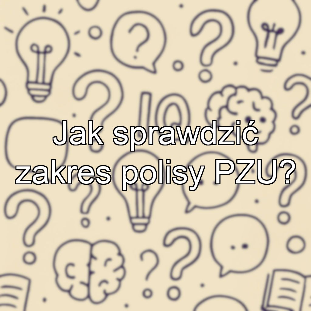 Jak sprawdzić zakres polisy PZU?